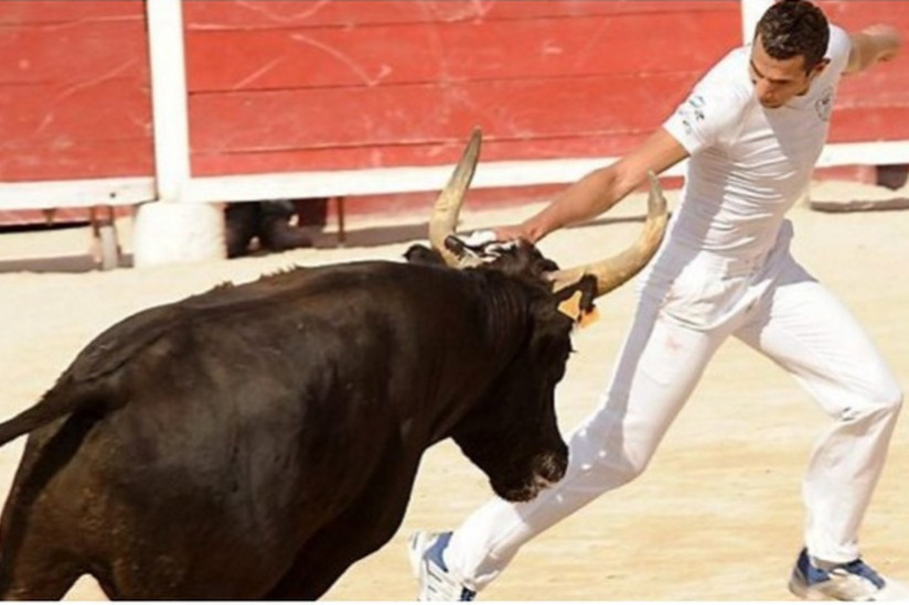 Trophée Taurin 2019