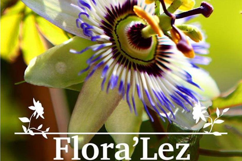 Flora'Lez - Foire aux plantes, artisanat et bien-être au Parc Richter de Montpellier