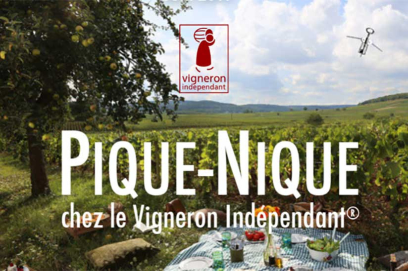 Pique-Nique chez le Vigneron Indépendant