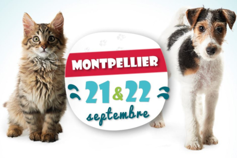 Salon du Chiot (et quelques chatons) au Parc des Expos de Montpellier