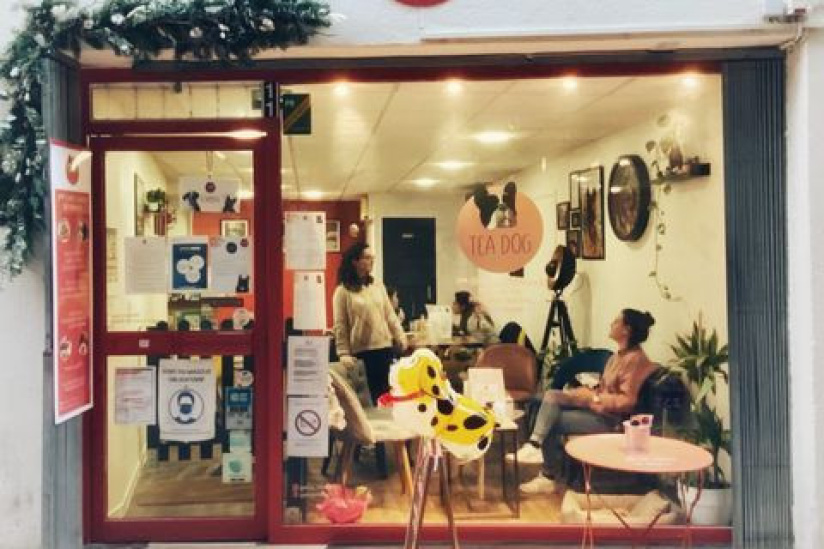 caac4ddd3dd591d4f6d3df6e01c2961080c24daejpeg