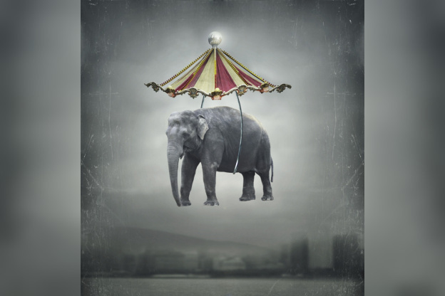 Phénomène Montpellier