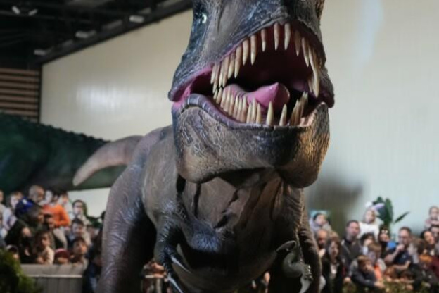 Le Musée Éphémère - Exposition de dinosaures