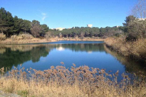 Fête du Lac des Garrigues à Montpellier