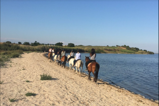 Visite des Salines à Cheval