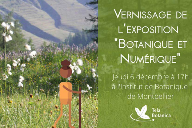 Exposition Botanique et Numérique