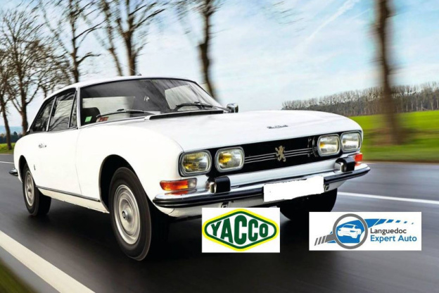 Rassemblement de voitures anciennes