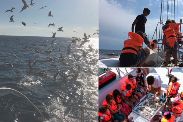 Découvrez la vie marine en Méditerranée à bord du Catamaran Sea Explorer