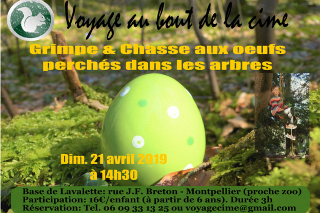 Chasse aux œufs perchée dans les arbres de la forêt de Lavalette