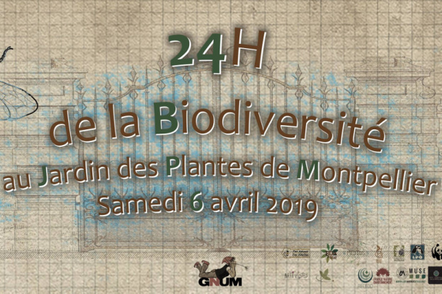 Les 24h de la Biodiversité au Jardin des Plantes de Montpellier