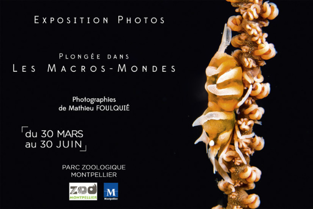 Exposition Plongées dans les Macros-Mondes au Zoo du Lunaret