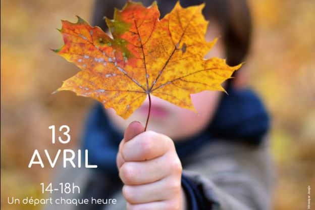 Exposition Les Plantes au rythme des Saisons" au Jardin des Plantes de Montpellier