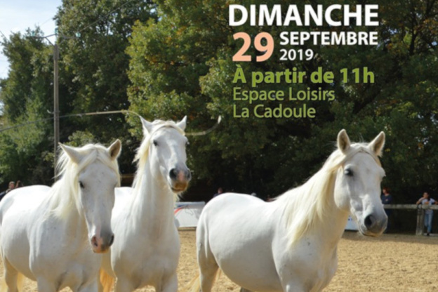 La Journée du Cheval à Vendargues