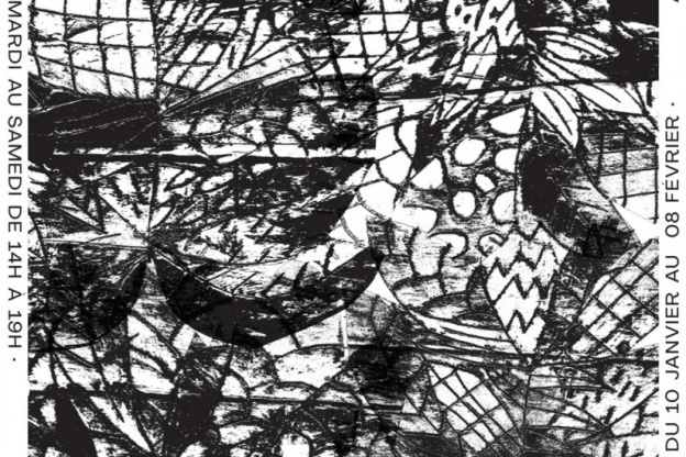 Brique(s), une exposition de Thomas Chmp