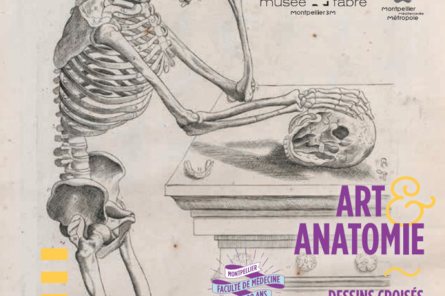Art et Anatomie - Dessins Croisés Musée Fabre / Musée Atger