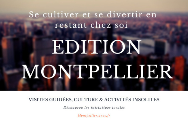 Se cultiver et se divertir en restant chez soi - Edition Montpellier