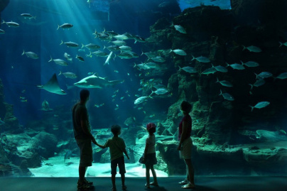 Aquarium Mare Nostrum