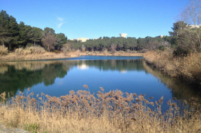 Fête du Lac des Garrigues à Montpellier