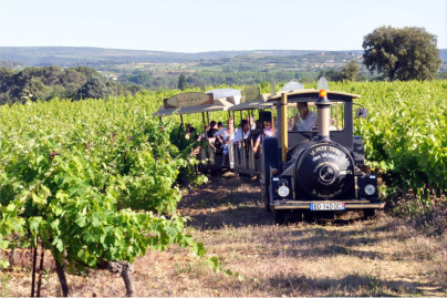 Le Petit train des Vignes