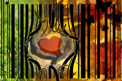 Gratiféria d'été à Lemasson - Un marché aux puces gratuit et sans contrepartie