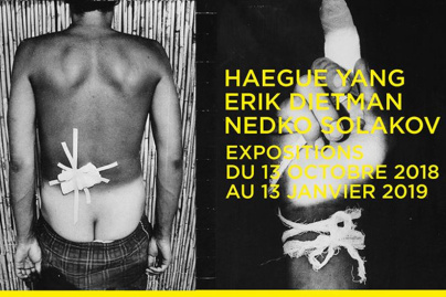 Exposition Erik Dietman / Haegue Yang / Nedki Solakov