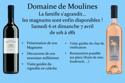 Dégustation de Vins au Domaine de Moulines à Mudaison
