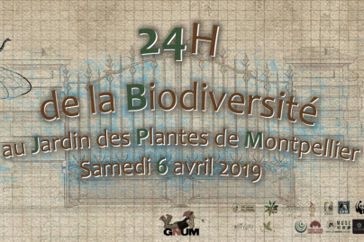 Les 24h de la Biodiversité au Jardin des Plantes de Montpellier