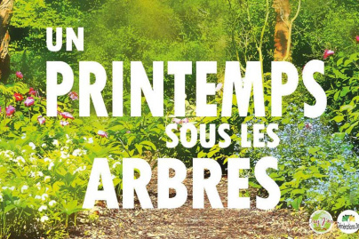 Un Printemps sous les Arbres
