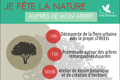 Je fête la Nature auprès de mon Arbre