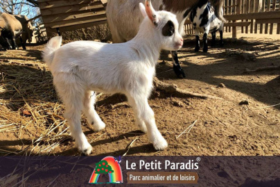 Le Petit Paradis de Vendargues