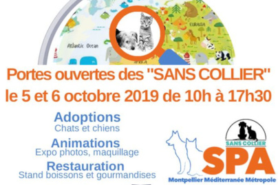 Journées Portes Ouvertes à la SPA de Montpellier