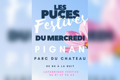 Les Puces festives du mercredi à Pignan