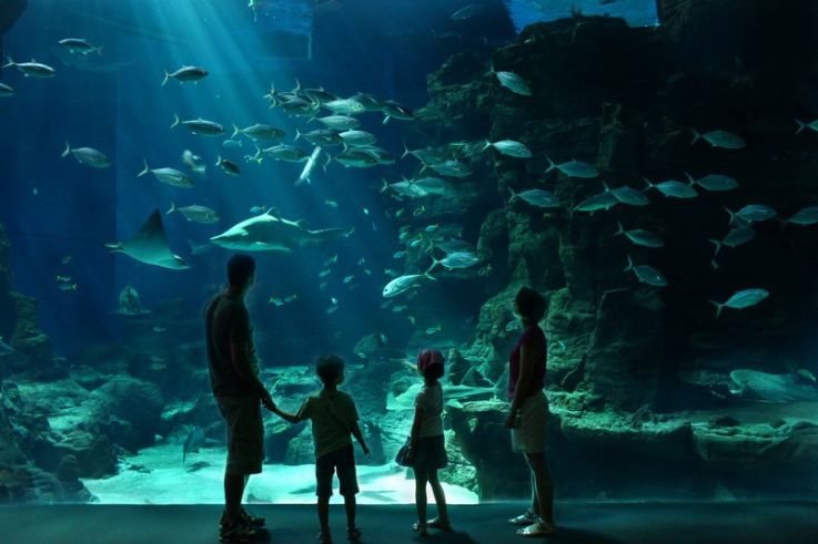 Aquarium Mare Nostrum