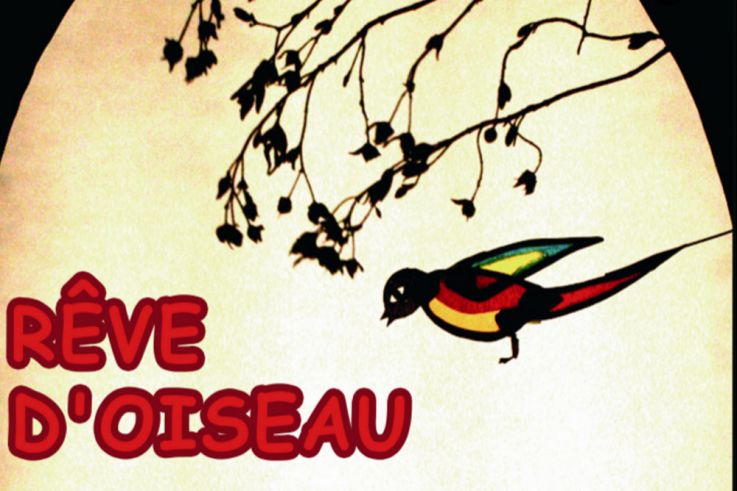 Rêve d'oiseau