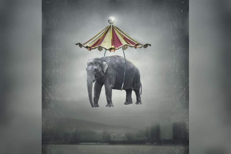 Phénomène Montpellier