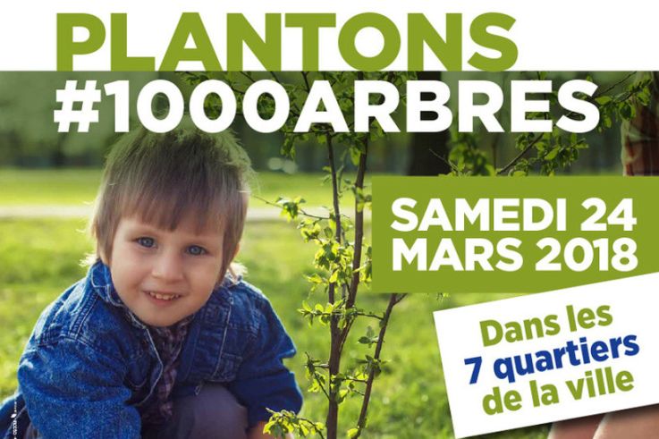Plantons #1000 Arbres