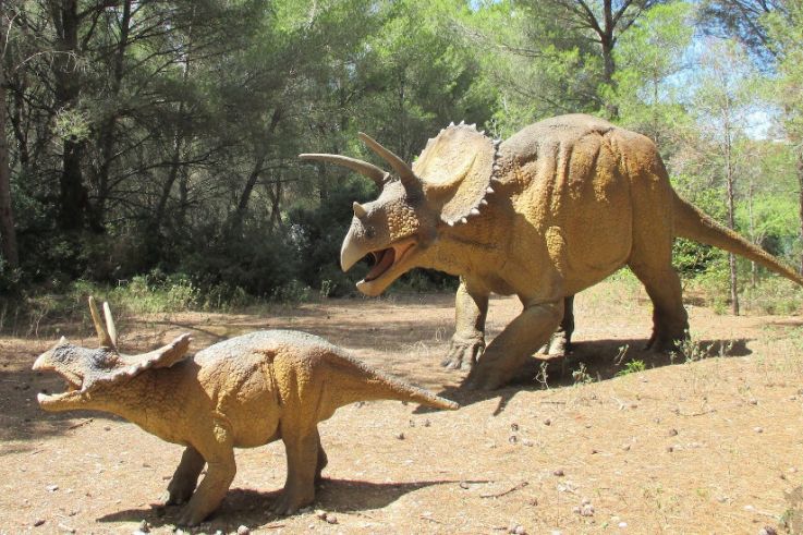 Musée des Dinosaures et de la Préhistoire de Mèze