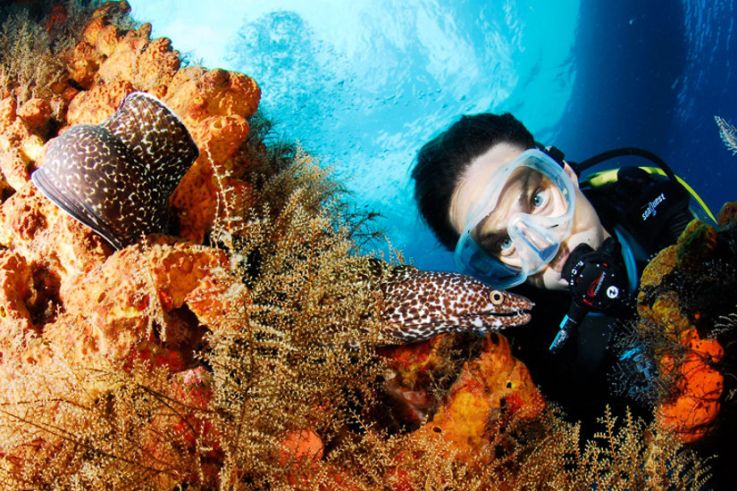 Baptême de Plongée Sous-Marine à Carnon