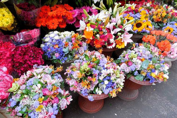 Fleurs en Fête à Pignan
