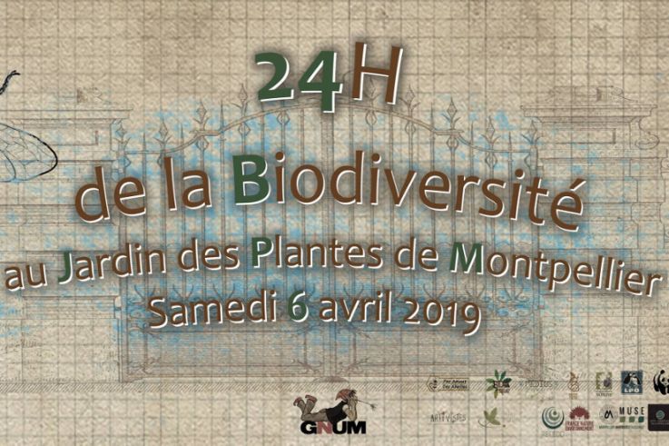 Les 24h de la Biodiversité au Jardin des Plantes de Montpellier
