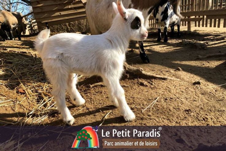 Le Petit Paradis de Vendargues