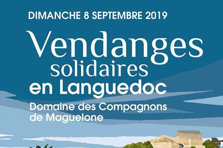 Vendanges Solidaires en Languedoc