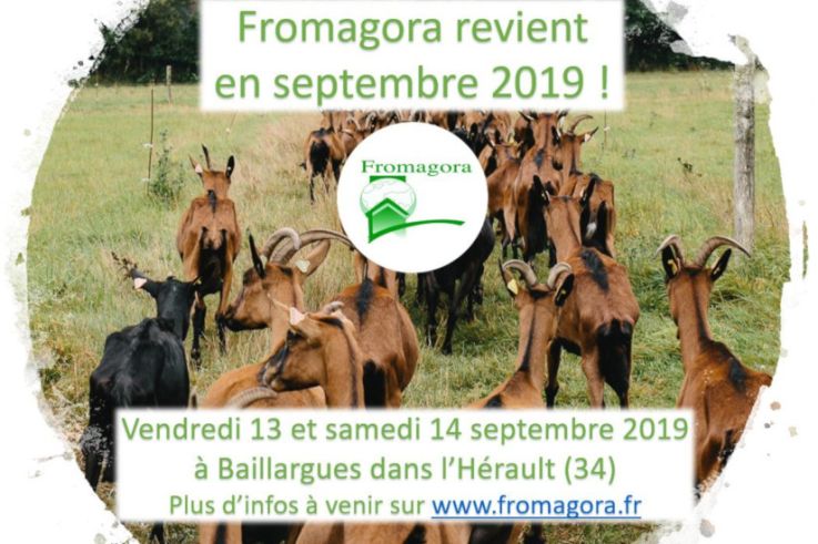 Marché de Producteurs à Baillargues - Fromagora 2019