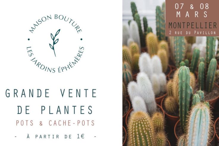 Grande Vente de Plantes - Le Jardin Ephémère de Maison Bouture