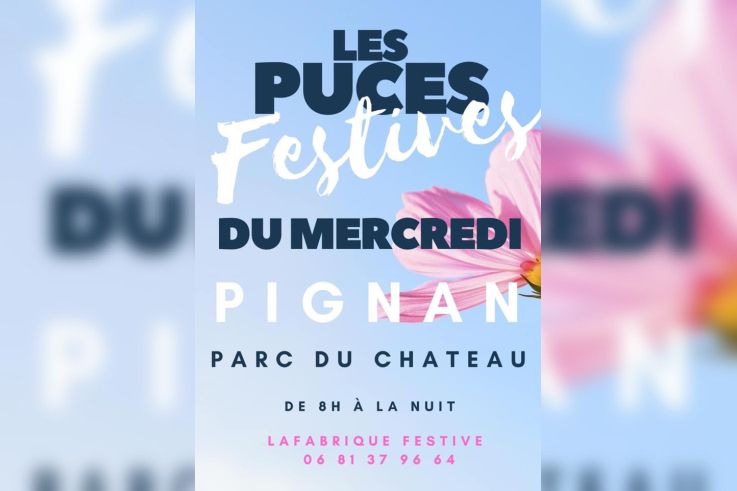 Les Puces festives du mercredi à Pignan