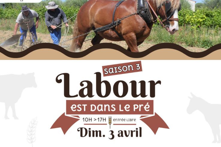 Labour est dans le pré - Saison 3