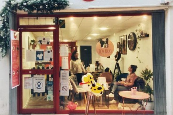 caac4ddd3dd591d4f6d3df6e01c2961080c24daejpeg