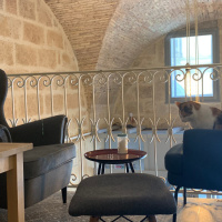 Le Chat Gourmand Montpellier - Salon de Thés & Repaire à Chats