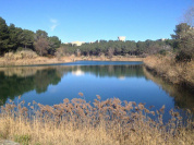 Fête du Lac des Garrigues à Montpellier