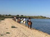 Visite des Salines à Cheval